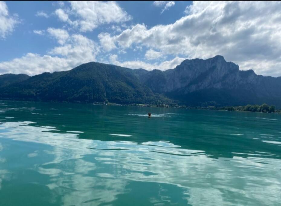 Die Feelgood-Wohnung Am Mondsee Bagian luar foto